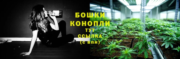 spice Михайлов