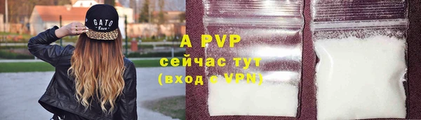 spice Михайлов